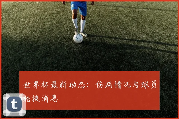 世界杯最新动态：伤病情况与球员轮换消息